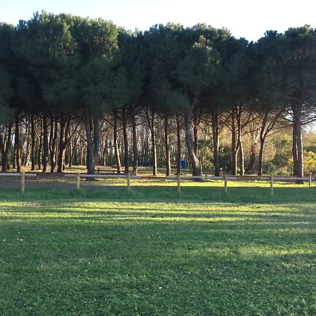 Podere La Grande Quercia * Rosignano Marittimo