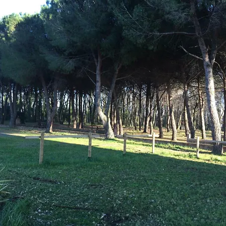 Podere La Grande Quercia * Rosignano Marittimo