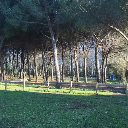 Podere La Grande Quercia Apartment *